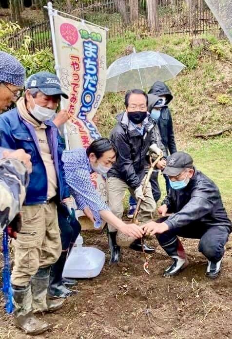 スクスク  町田新設畑（苗木）栽培体験コース　